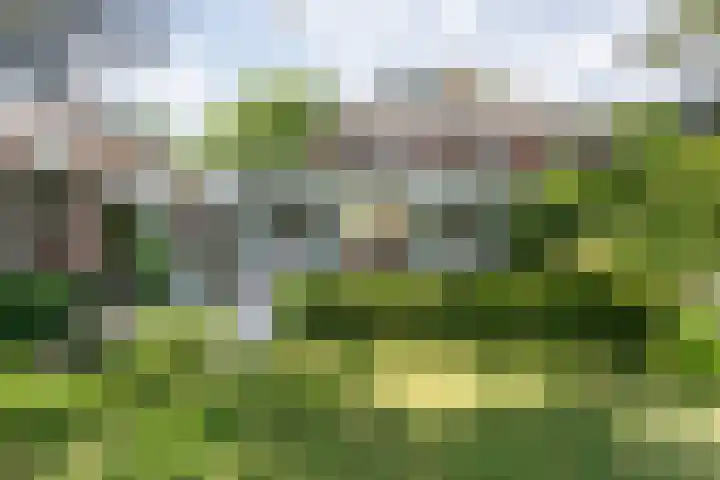 Panweg 56 Zeist thumbnail 60