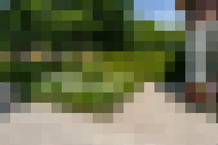 Panweg 56 Zeist thumbnail 62