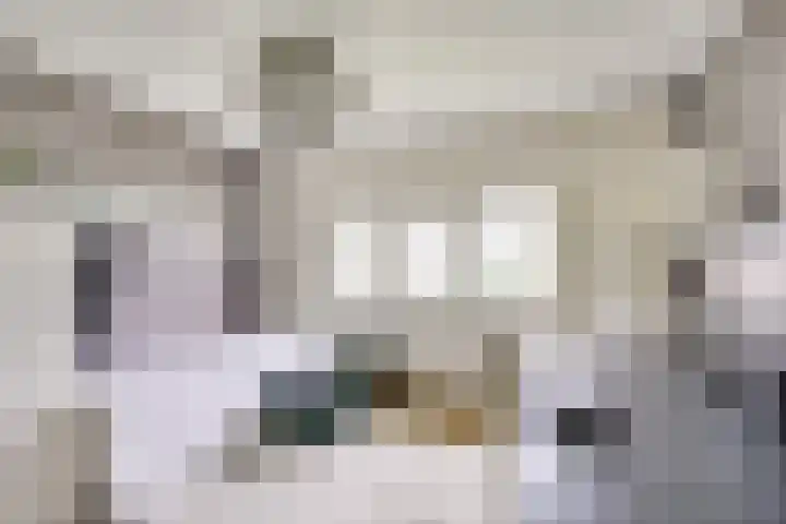 Panweg 88 Zeist thumbnail 29
