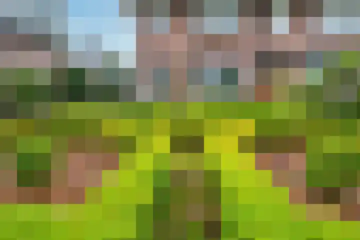 Panweg 88 Zeist thumbnail 48