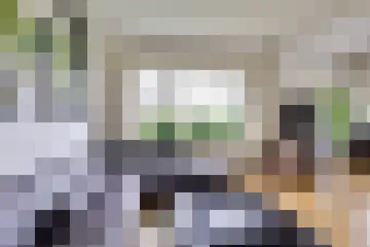 Panweg 88 Zeist thumbnail 7