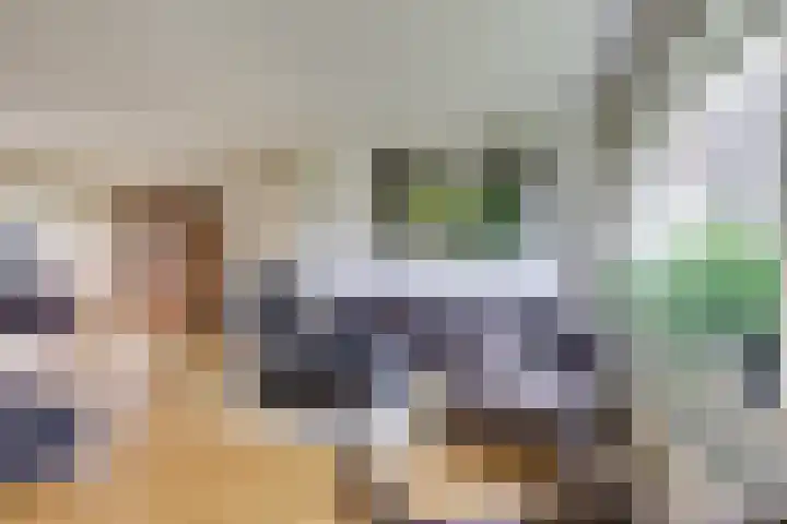 Panweg 88 Zeist thumbnail 9