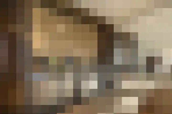 Papaverhof 70 Amsterdam thumbnail 11