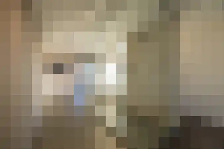 Papaverhof 70 Amsterdam thumbnail 41