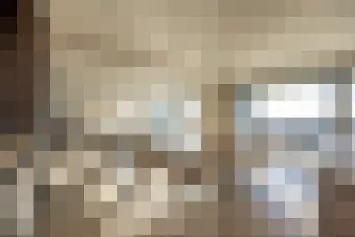 Papaverhof 70 Amsterdam thumbnail 8