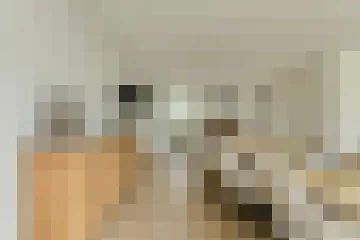 Papegaai 40 Breda thumbnail 15