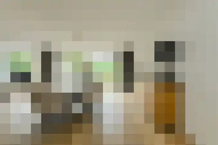 Papegaai 40 Breda thumbnail 17