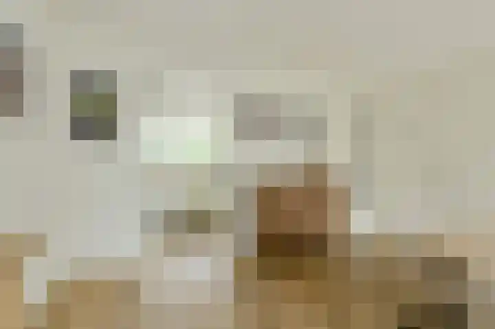 Papegaai 40 Breda thumbnail 18