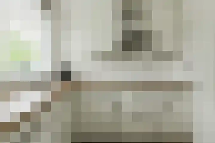 Papegaai 40 Breda thumbnail 19