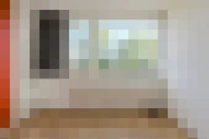 Papegaai 40 Breda thumbnail 26