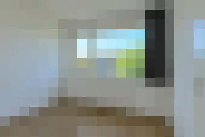 Papegaai 40 Breda thumbnail 27