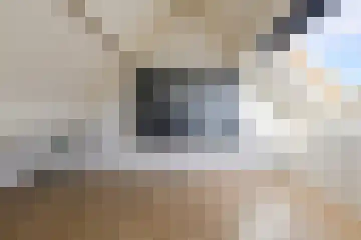 Papegaai 40 Breda thumbnail 37
