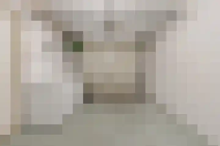Papegaai 40 Breda thumbnail 49