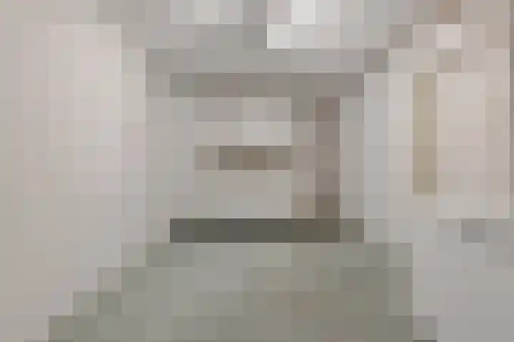Papegaai 40 Breda thumbnail 50