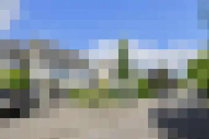 Papegaai 40 Breda thumbnail 52