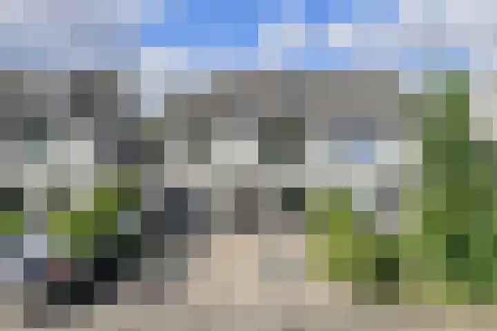 Papegaai 40 Breda thumbnail 6