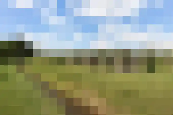 Papekamp 5 Ochten thumbnail 40