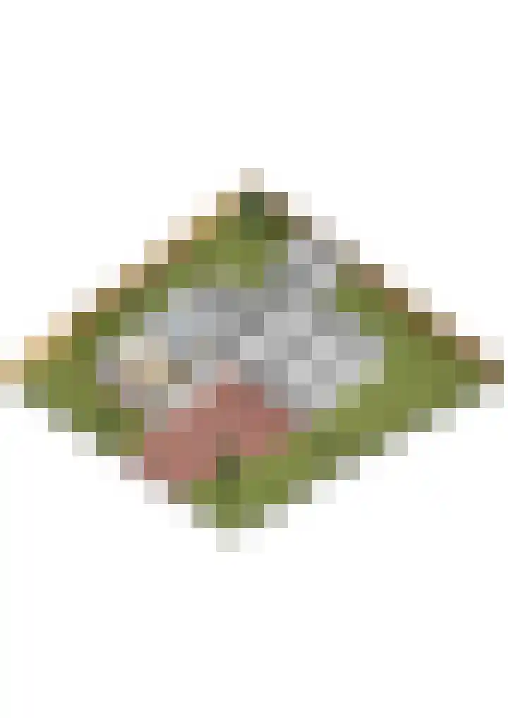 Papekamp 5 Ochten thumbnail 47