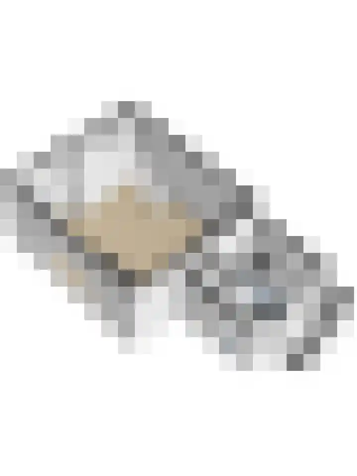 Papengang 5 Grave thumbnail 29