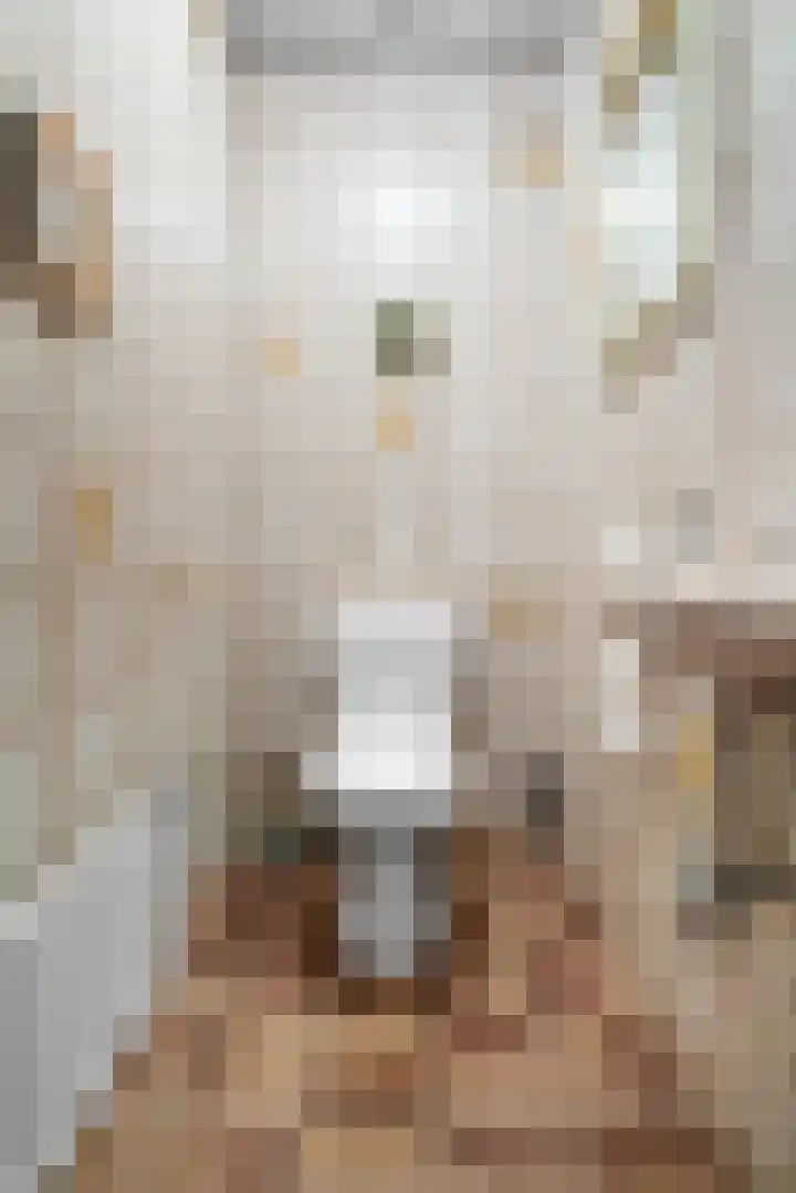 Papenstraat 34 Bemmel thumbnail 27