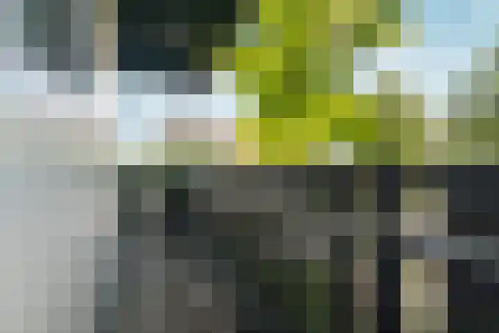 Papenstraat 34 Bemmel thumbnail 39