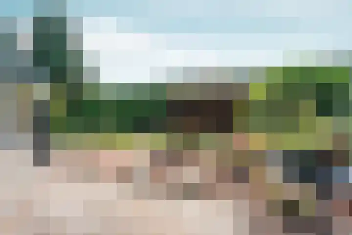 Papenstraat 34 Bemmel thumbnail 42