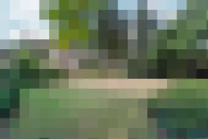 Papenstraat 34 Bemmel thumbnail 50