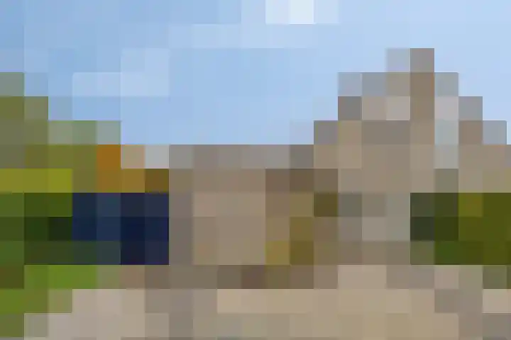 Papenven 31 Roden thumbnail 15