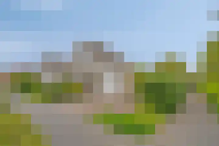 Papenven 31 Roden thumbnail 23