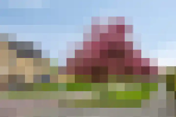 Papenven 31 Roden thumbnail 25
