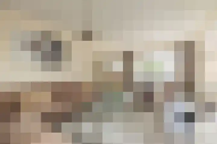 Papierberk 25 Zundert thumbnail 11