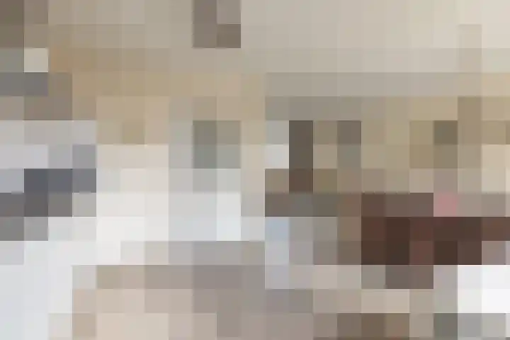 Papierberk 25 Zundert thumbnail 14