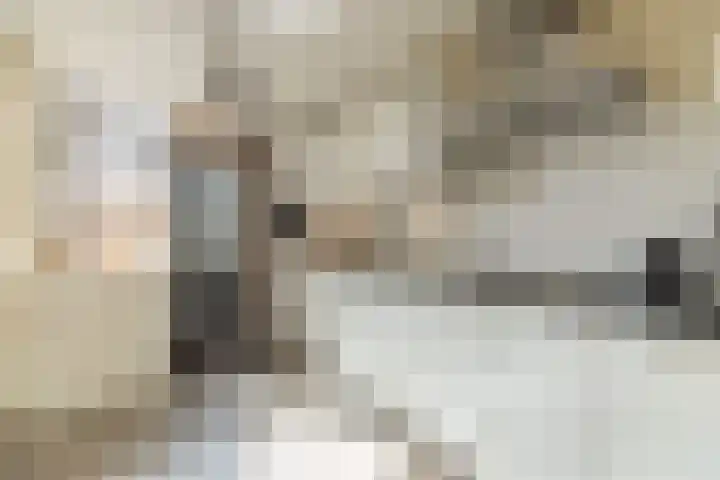 Papierberk 25 Zundert thumbnail 16