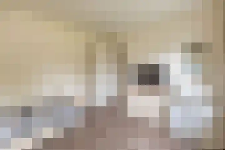 Papierberk 25 Zundert thumbnail 21