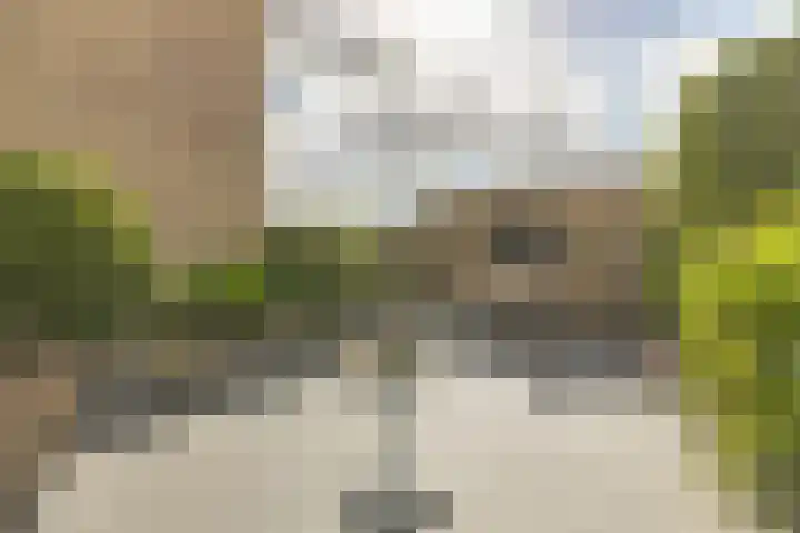 Papierberk 25 Zundert thumbnail 27