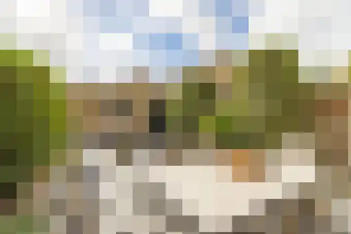 Papierberk 25 Zundert thumbnail 5