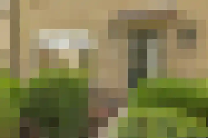 Papierberk 25 Zundert thumbnail 7