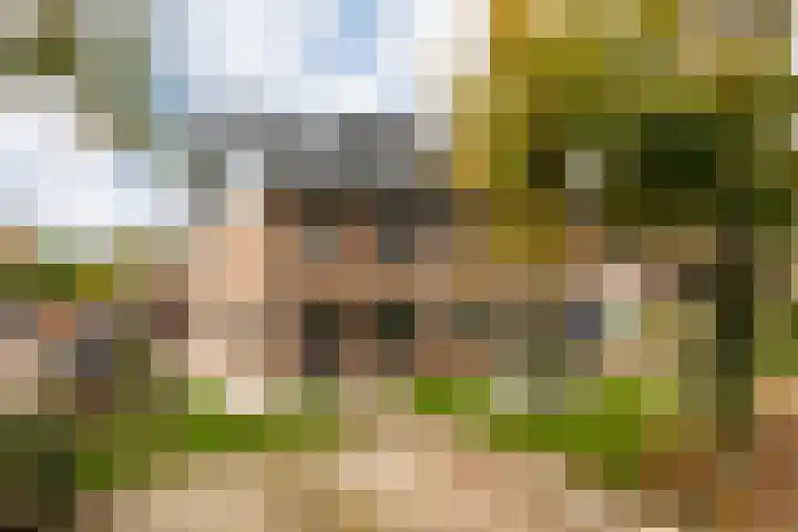 Papiermakerstraat 23 Putten thumbnail 5