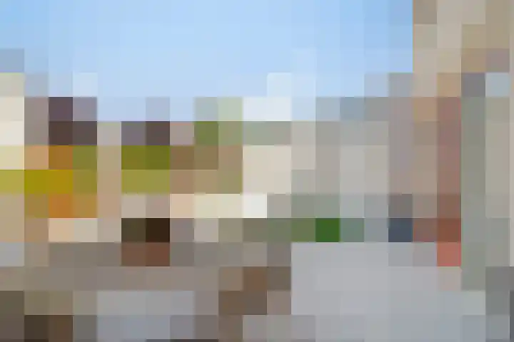 Papiermolen 6 Bleiswijk thumbnail 18