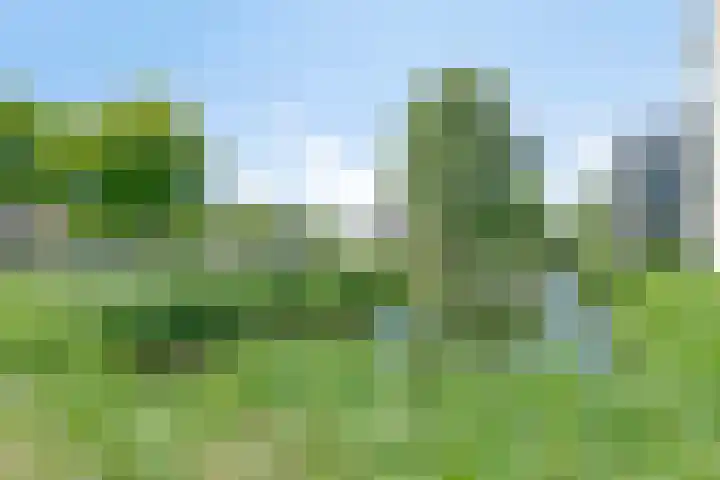 Papiermolen 6 Bleiswijk thumbnail 40