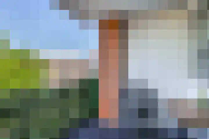 Paradeplein 14 Nootdorp thumbnail 7