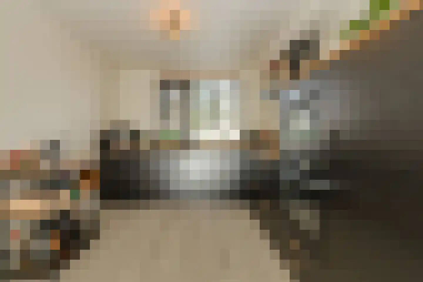 Paradijslaan 112 Breda thumbnail 11