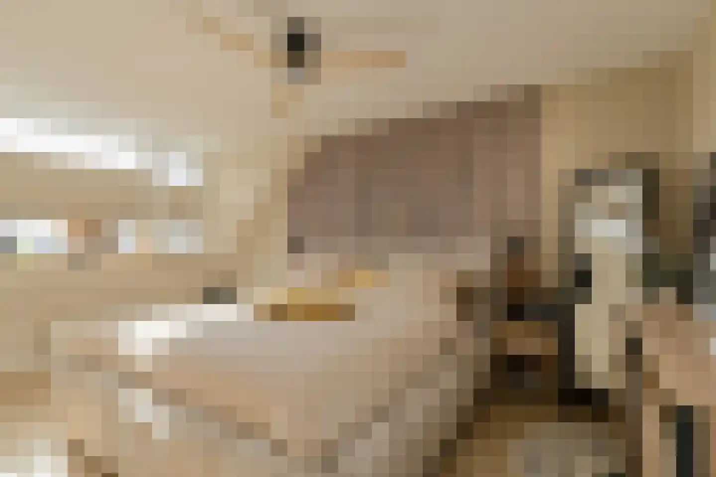Paradijslaan 112 Breda thumbnail 19