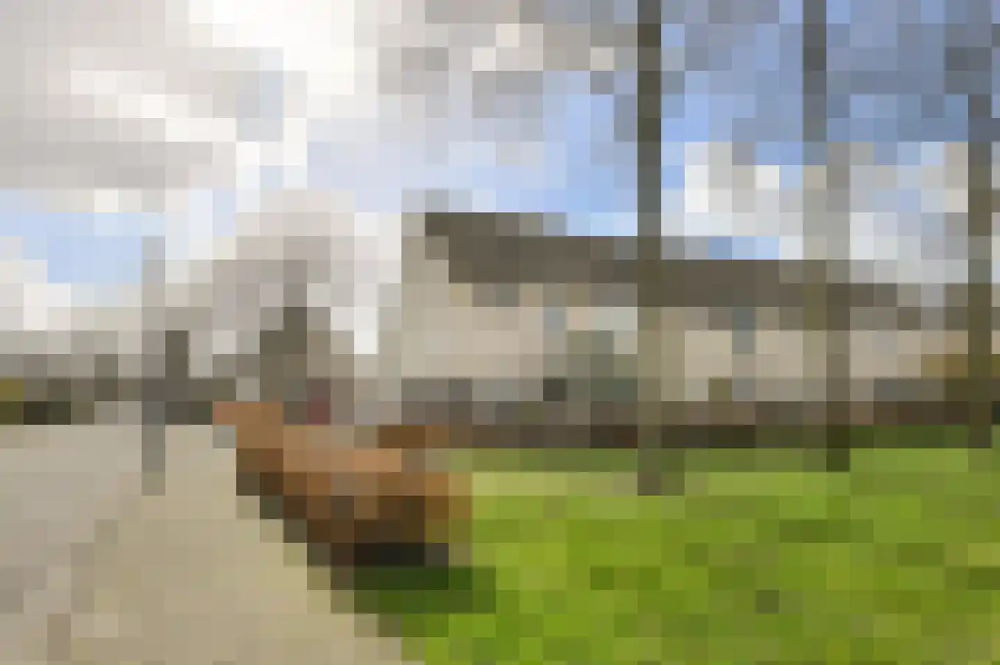 Paradijslaan 112 Breda thumbnail 4