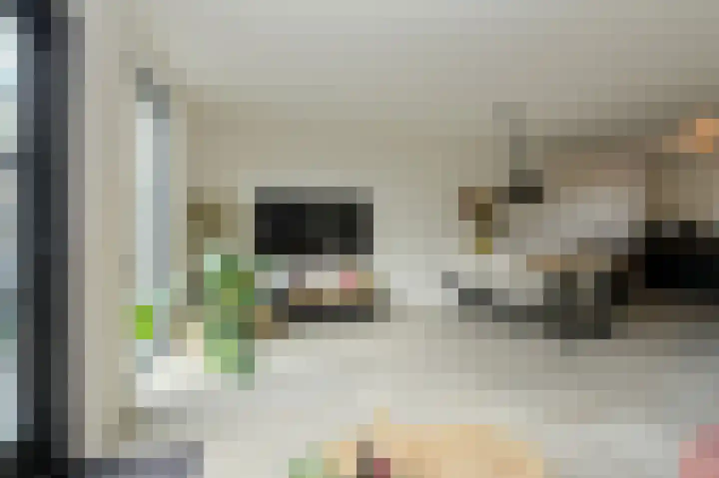 Paradijslaan 112 Breda thumbnail 8