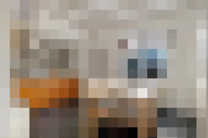 Parallelstraat 16 Grou thumbnail 12