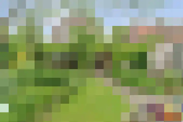 Parallelstraat 22 Rhoon thumbnail 10