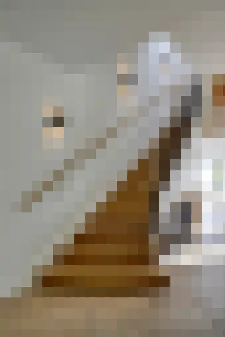 Parallelstraat 22 Rhoon thumbnail 13