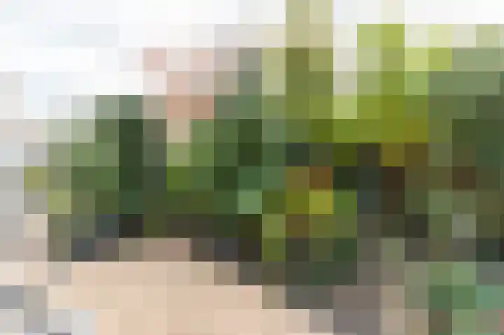 Parallelstraat 22 Rhoon thumbnail 34