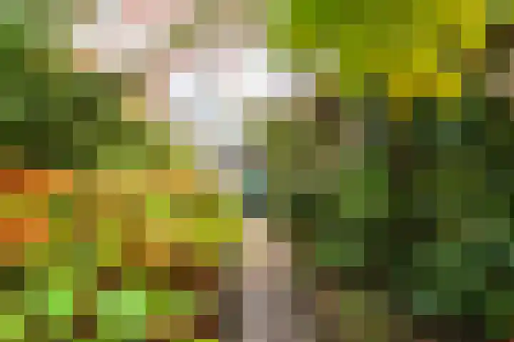 Parallelstraat 22 Rhoon thumbnail 37